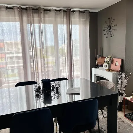 Climatisé 3 étoiles T3 Chic à Avec Billard Et Terrasse * Estrasburgo