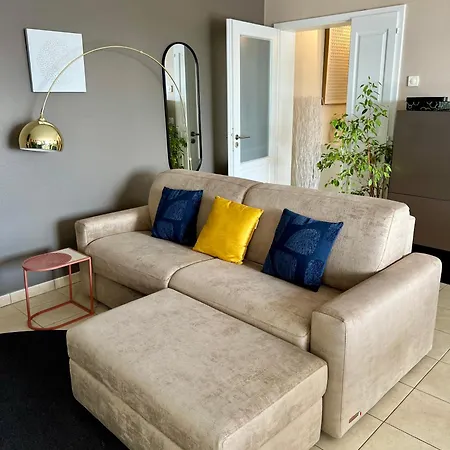 Climatise 3 Etoiles T3 Chic A Avec Billard Et Terrasse * ستراسبورغ